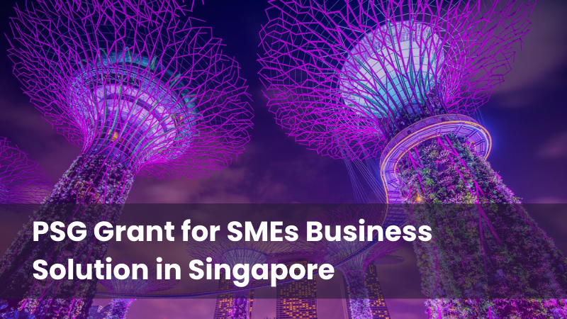 PSG Grant for smes